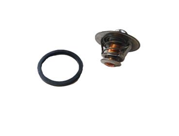Multicar Thermostat mit Gummidichtung