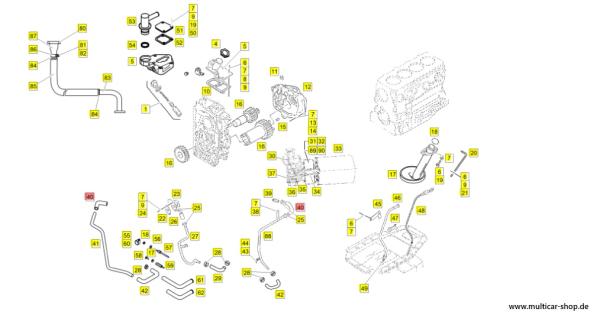 Wasserschlauch / Schlauch